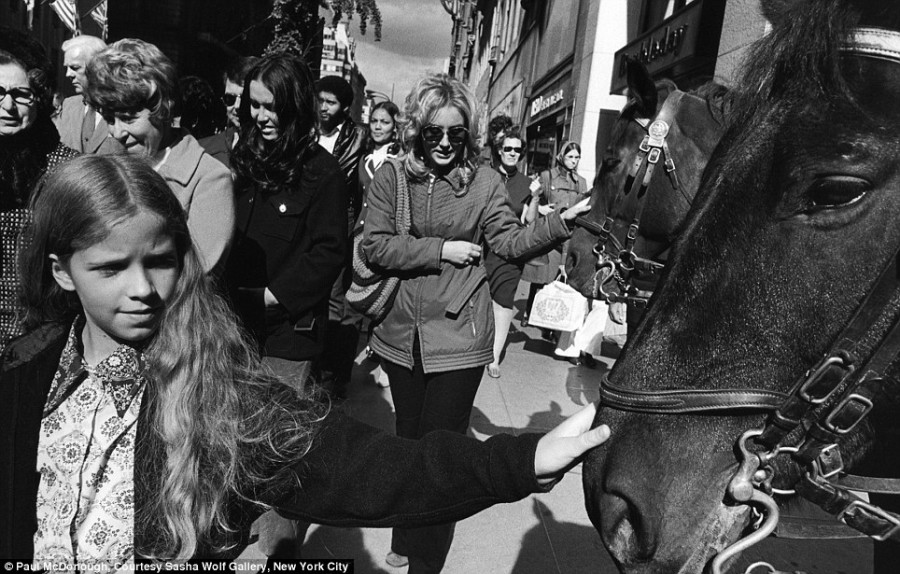 Girl and Woman Touching Horses, 1973