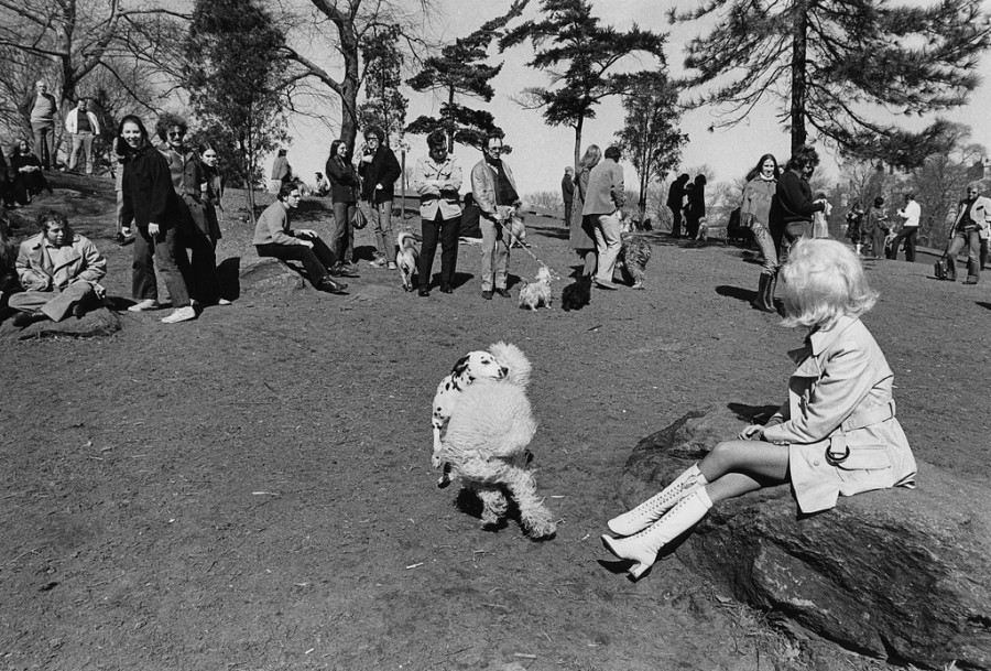 Central Park, Girl With White Boots, NYC, 1971