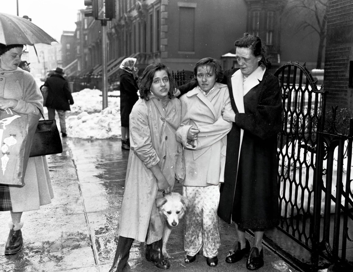 Mrs. Kathryn Marshall Leaves Her House At 126 Sterling Place With Her Twin Daughters, Maureen And Kathleen, And Their Dog After Part Of A Plane Hit The Building In The United Airlines Dc-8 &Amp;Amp; Twa Super Constellation Aviation Accident, 1960.