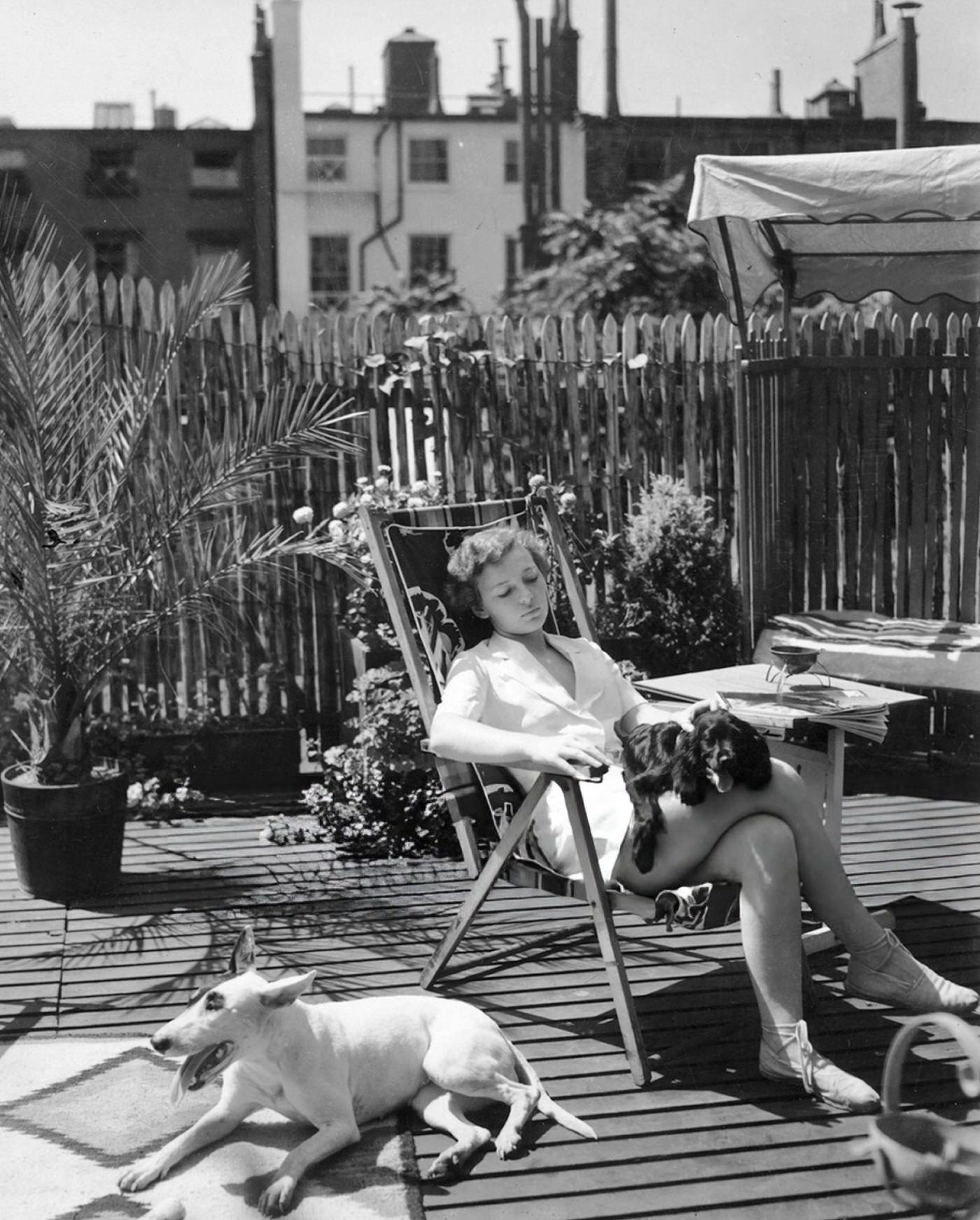 Woman Lounges In A Chair With Her Two Dogs Near The Arthur Shettle Residence, Washington Mews, Greenwich Village, New York, 1930.