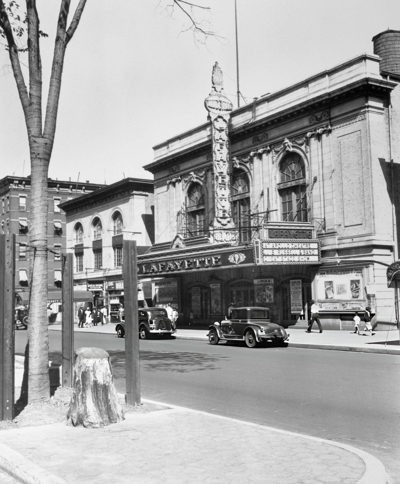 The Stump Of The Original &Amp;Quot;Tree Of Hope&Amp;Quot; In Front Of The Lafayette Theater.