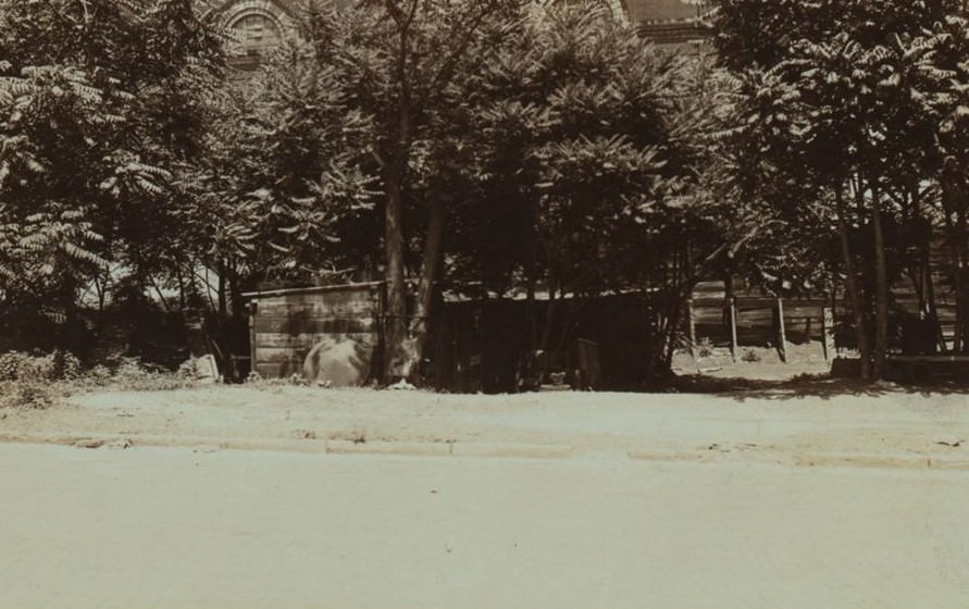 Squatters Colony At The Harlem River, 1933.