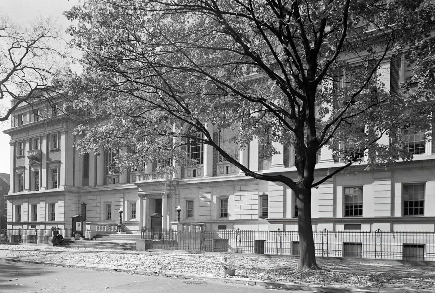 Queensboro Public Library, Jamaica, Queens, New York.
