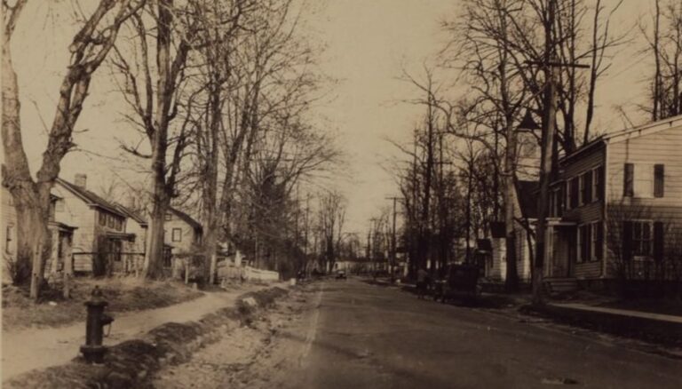 What Little Neck Parkway Looked Like in the 1920s: Rare Photos from a ...