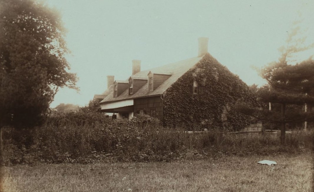 New Dorp Lane and Cedar Grove Avenue, 1910.