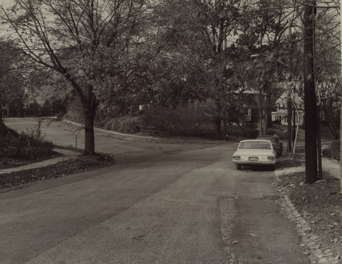Browvale Lane - Northern Boulevard, 1966