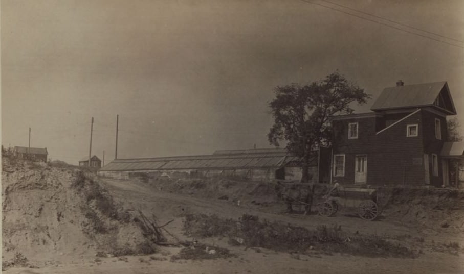 Queens Boulevard - 64th Road, 1927