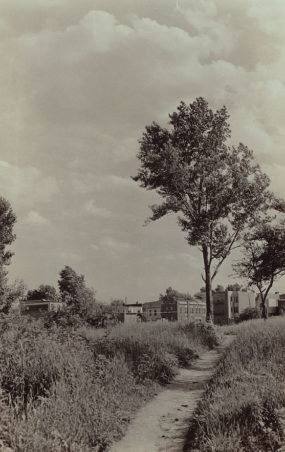 Queens Boulevard - Woodhaven Boulevard, 1924