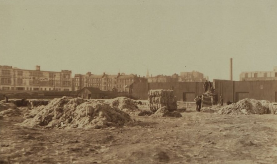 Workmen salvaging sisal hemp in Richmond, Staten Island - Tompkinsville, 1925.