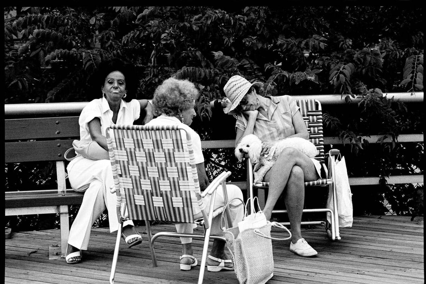 Three Women And A Dog, Brighton Beach, 1987.