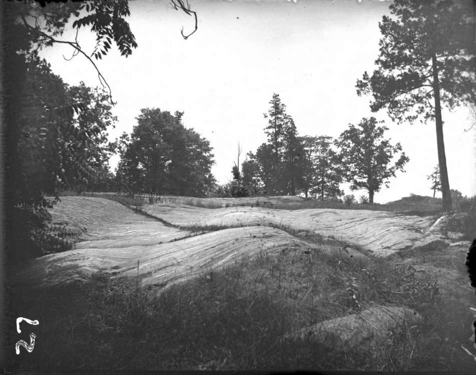 Stone Formation In Bronx Park, Bronx, 1902.