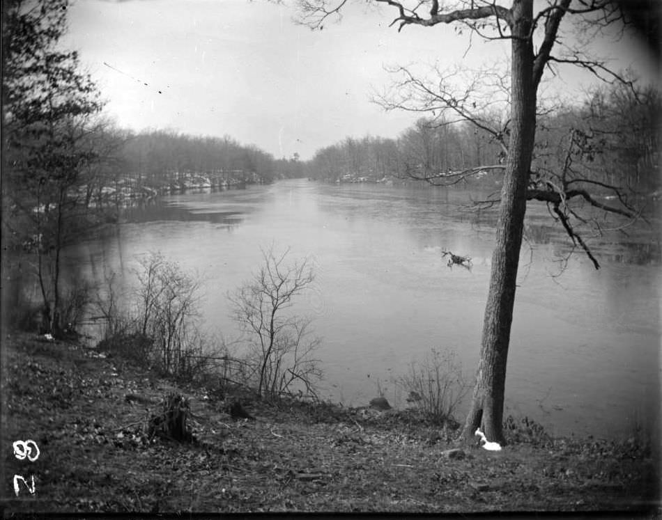 Bronx River In Winter In Bronx Park, Bronx, 1902.