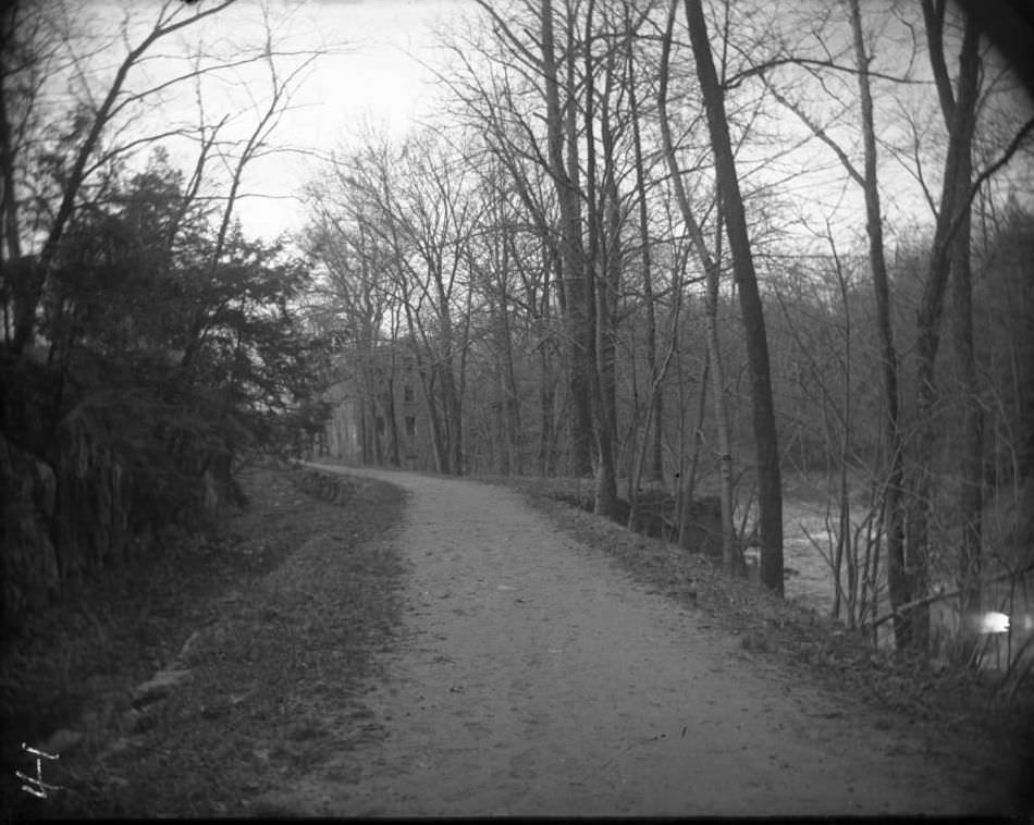 Path Leading To The Lorillard Snuff Mill In Bronx Park, Bronx, 1902.