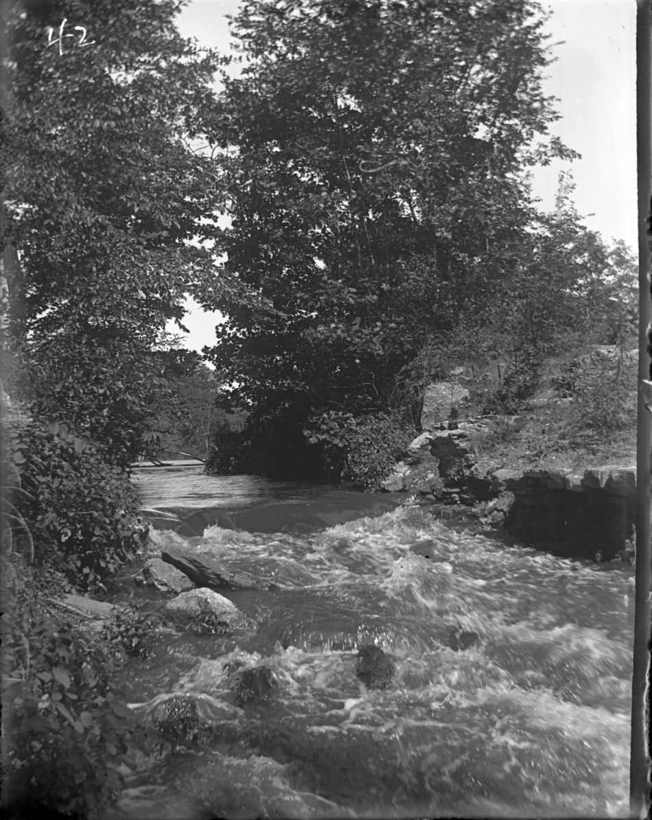 River In Bronx Park, Bronx, 1902.