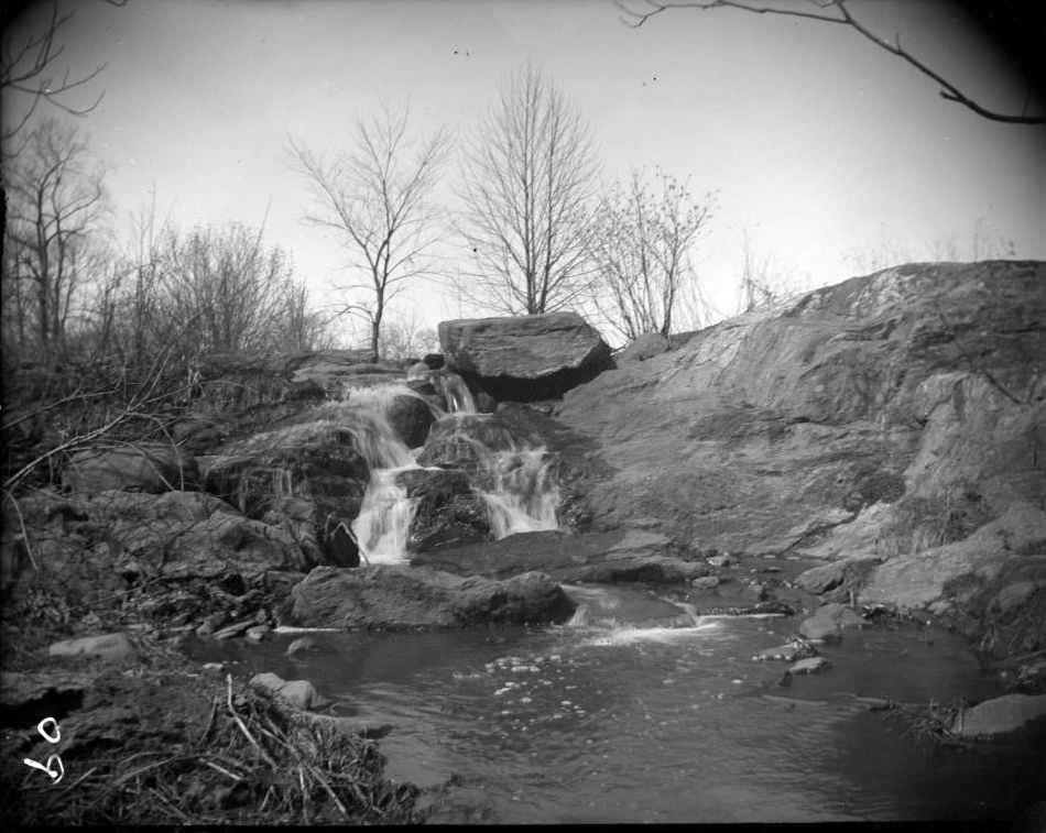 Falls In Bronx Park, Bronx, 1902.
