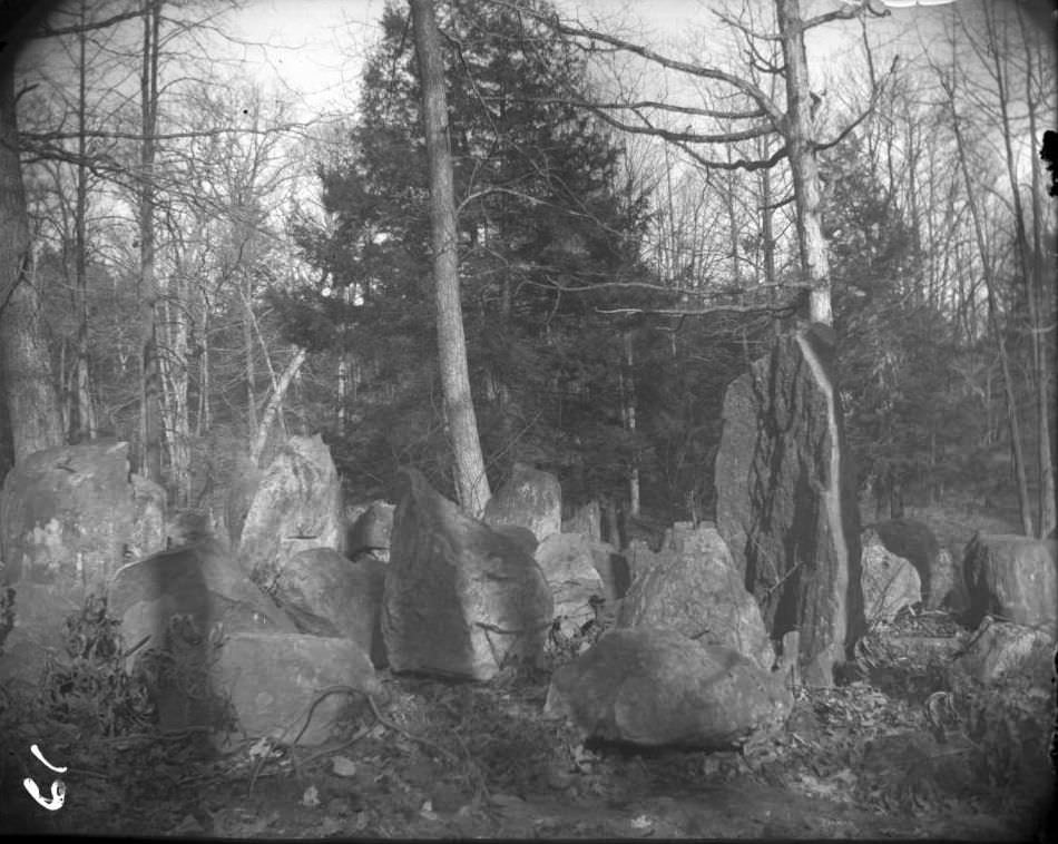 Boulders In The Woods Of Bronx Park, Bronx, 1902.