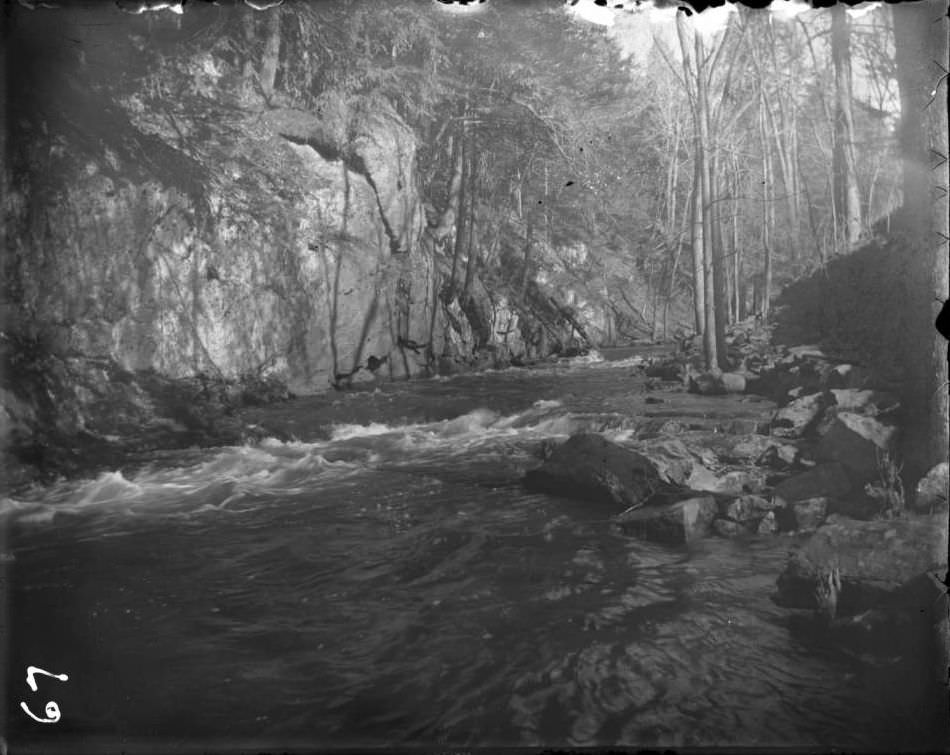 River In Bronx Park, Bronx, 1902.