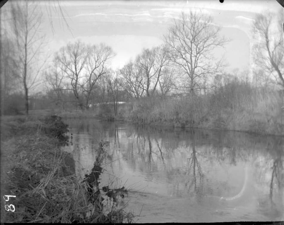 River In Bronx Park, Bronx, 1902.