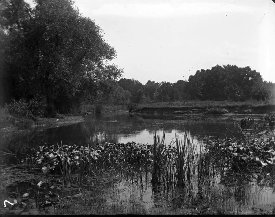 River Scene Below The Gorge In Bronx Park, Bronx, 1902.