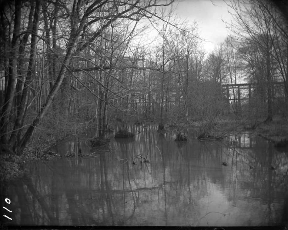 River In Bronx Park, Bronx, 1903.