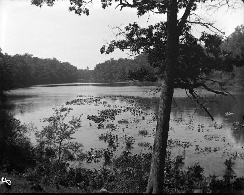 Bronx River In Bronx Park, Bronx, 1902.