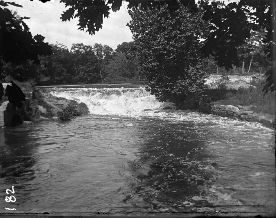 Falls In Bronx Park, Bronx.