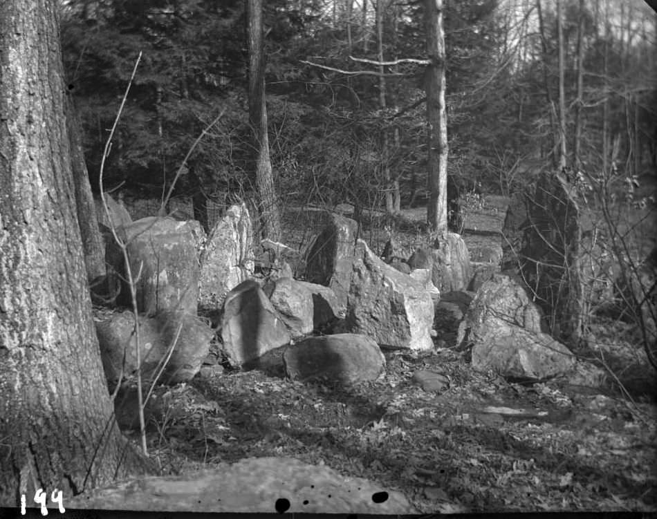 Boulders In The Woods Of Bronx Park, Bronx.