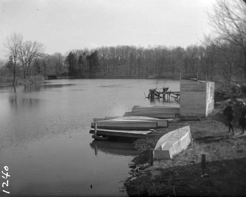 Row Boats On The Bronx River, Bronx, 1899.