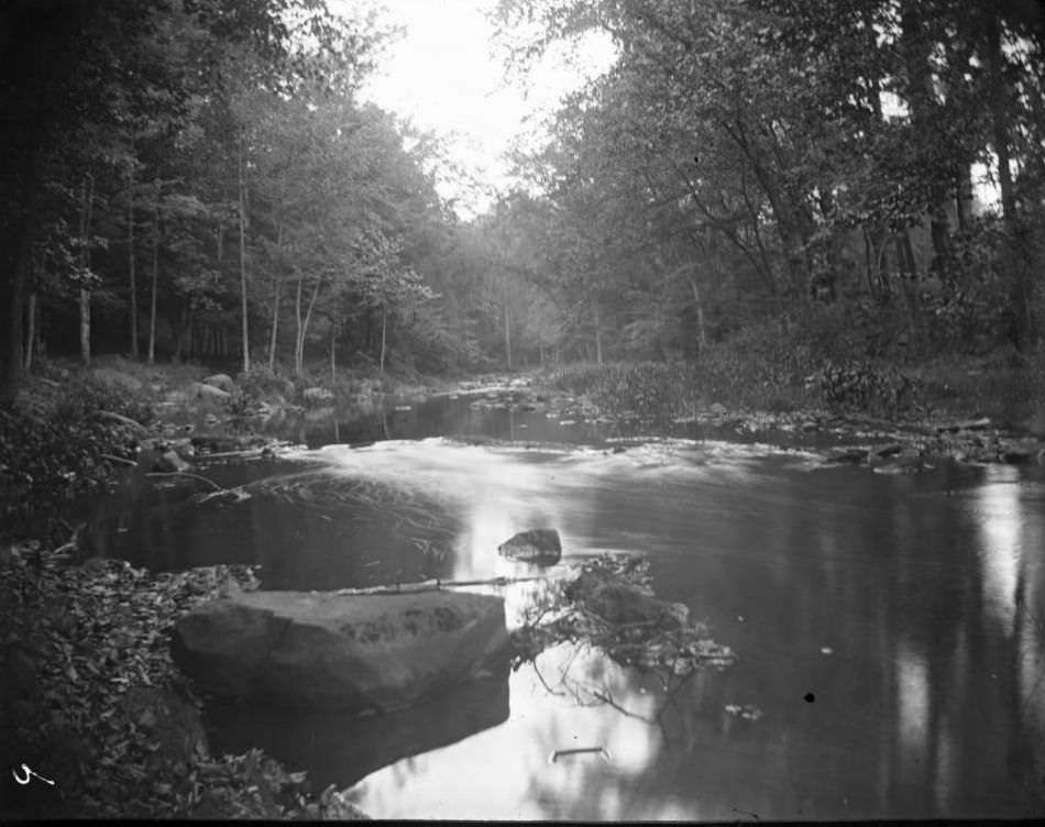 River, Bronx Park, Bronx, 1890S.