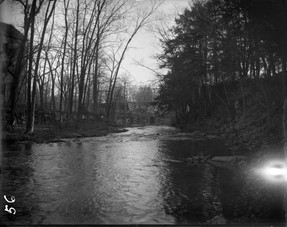 River, Bronx Park, Bronx, 1890S.
