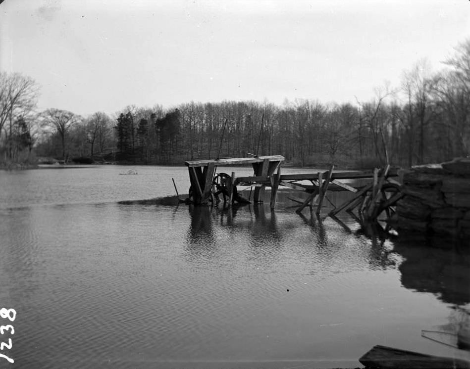 Demolished Structure In The Bronx River, New York Zoological Gardens, Bronx, 1899.