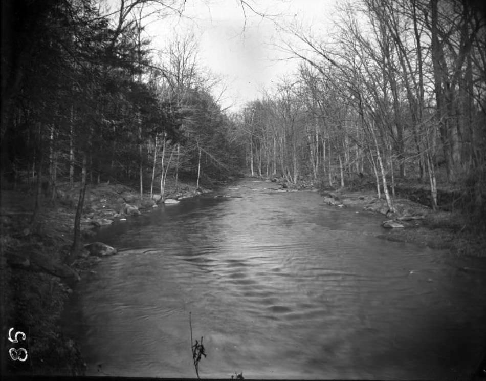 River, Bronx Park, Bronx, 1890S.