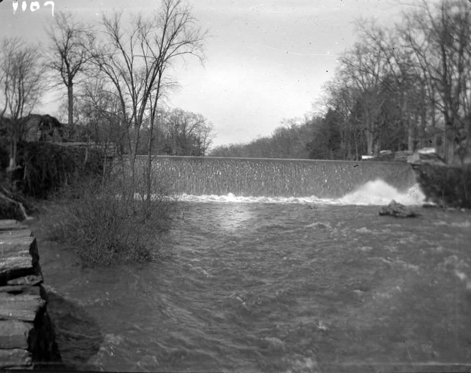 The Bronx River, Undated.