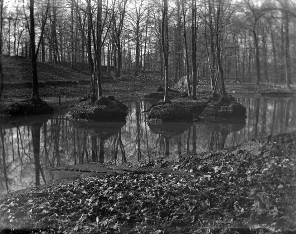 View Of Bronx River, Ca. 1899.