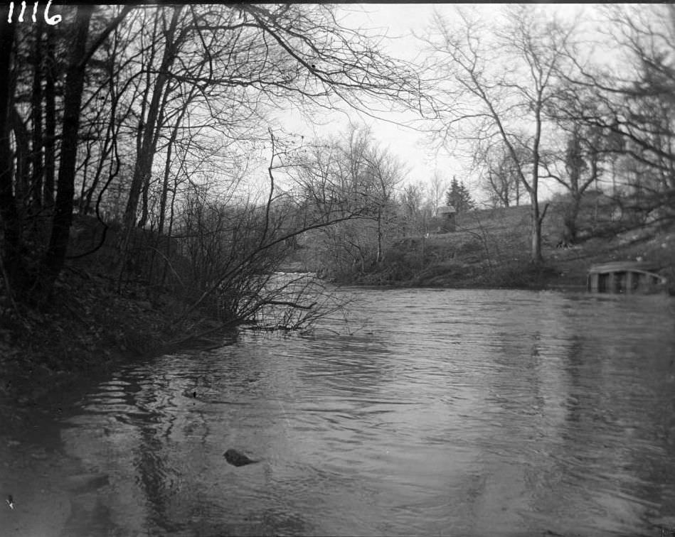 The Bronx River, Ca. 1899.