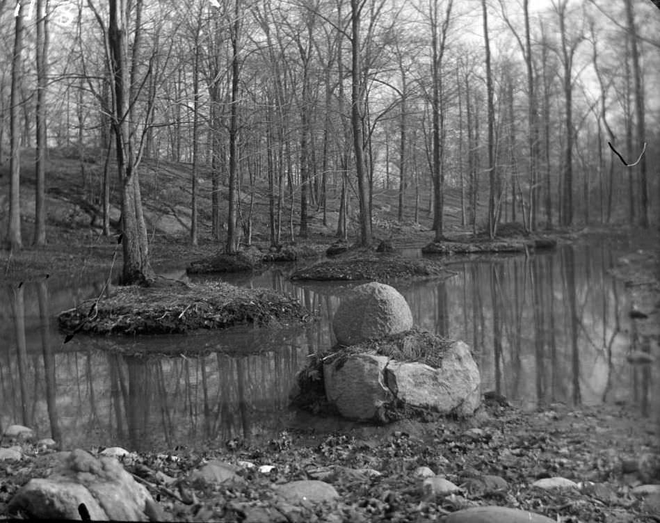 The Bronx River, Ca. 1899.