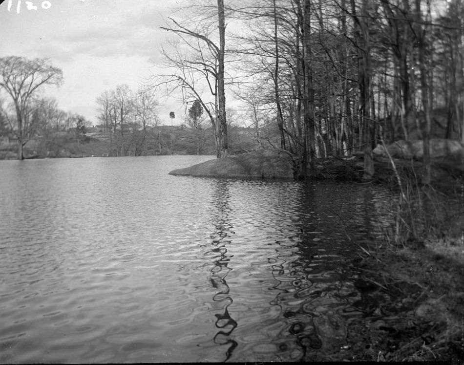 The Bronx River, Ca. 1899.