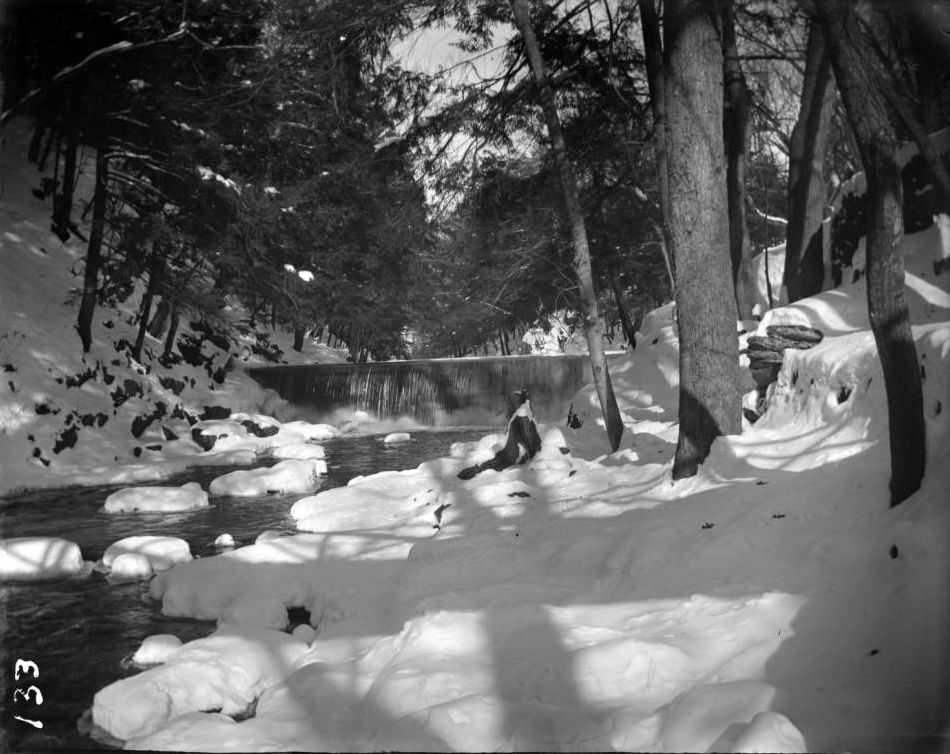 Falls In Snow, Bronx Park, Bronx, 1890S.