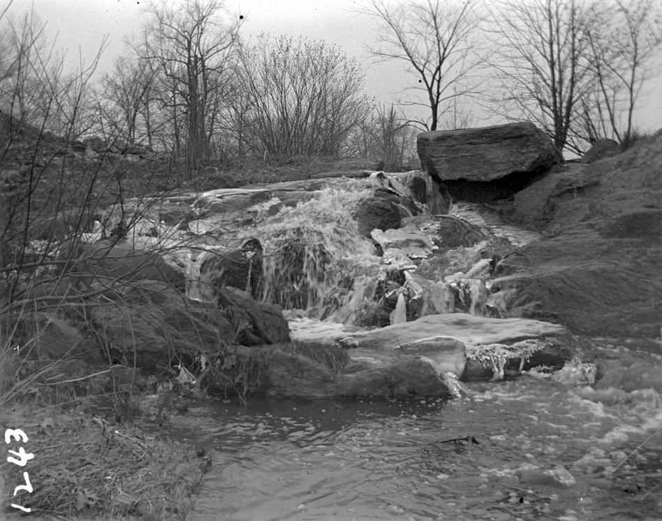 Icy Waterfall, New York Zoological Gardens, Bronx, 1899.