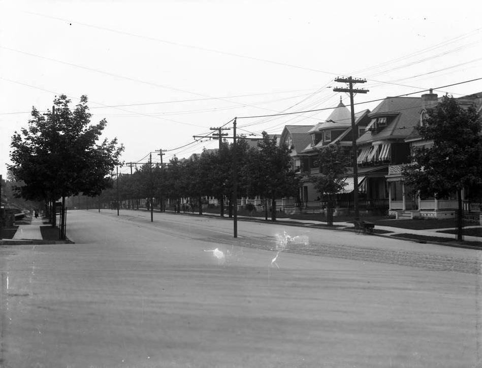 A Neighborhood With Wide, Tree-Lined Street, Bronx, 1916.