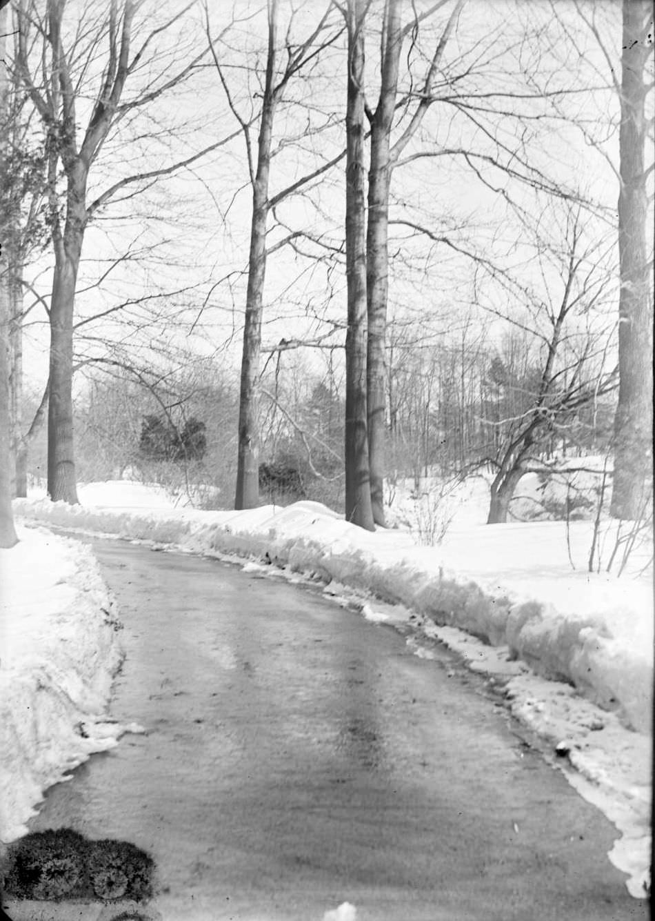 Road, Trees And Snow In Central Park, 1890.