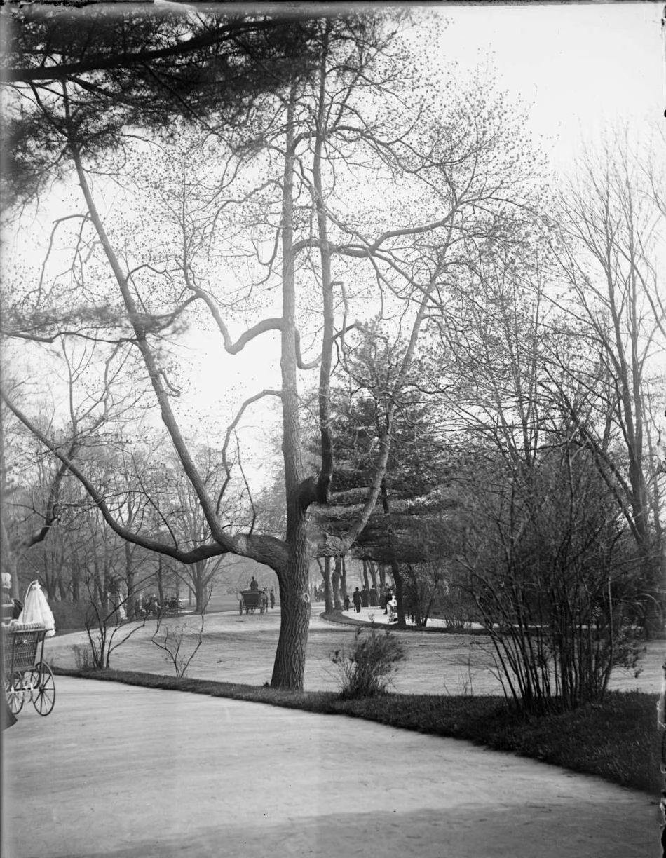 An April Day In Central Park, 1895.