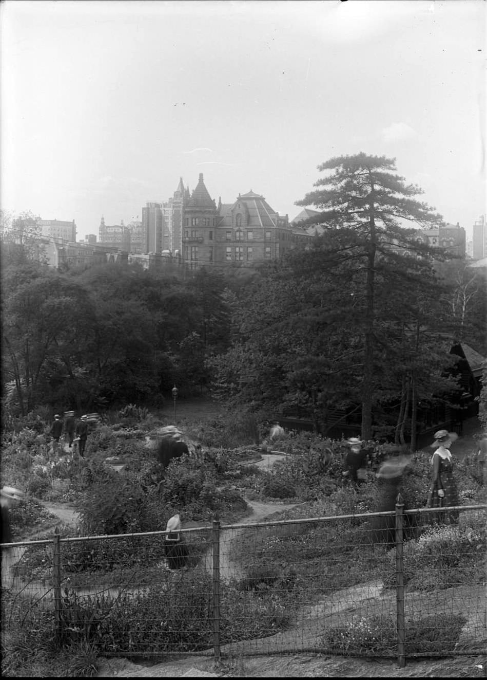 Shakespeare Garden, Central Park