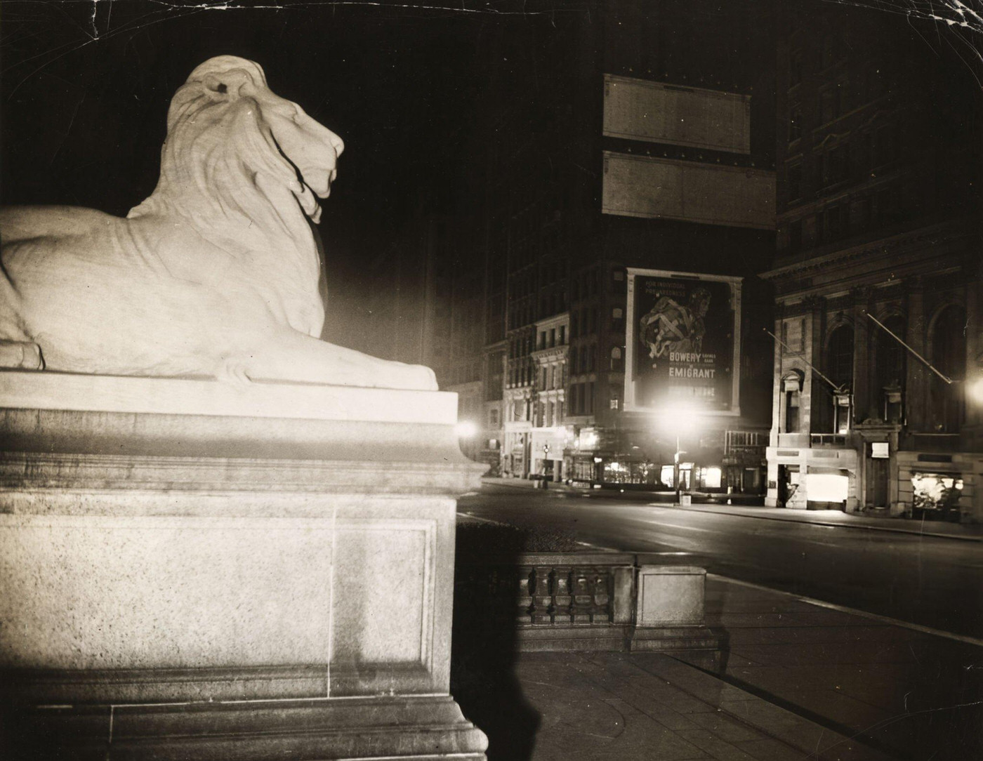 New York Public Library Lion, 1940.