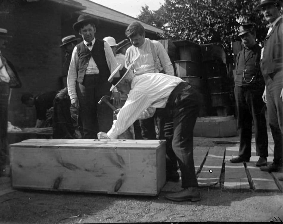 Nailing The Lid Onto A Coffin From The General Slocum Disaster, North Brother Island, 1904.