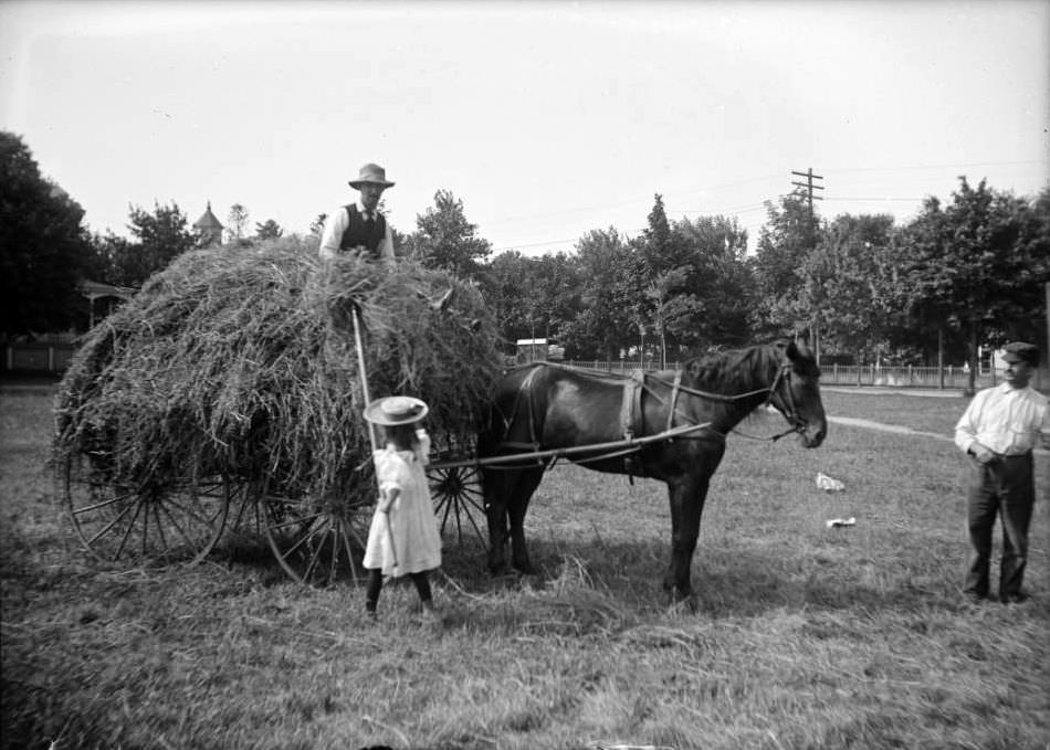 Loading Hay, Bensonhurst, Brooklyn, 1900.
