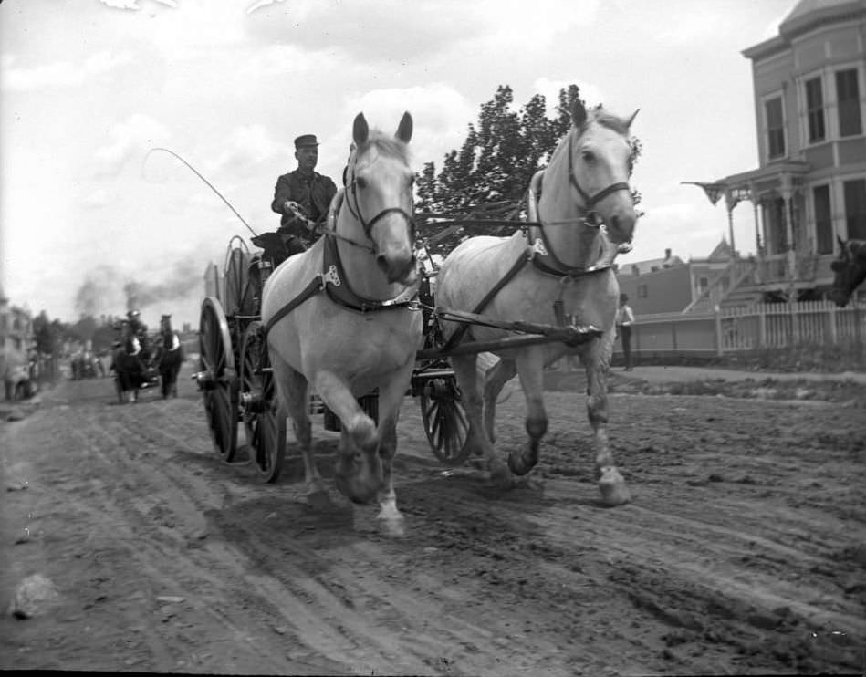 Fire Wagon En Route, Bronx, Ca. 1897.