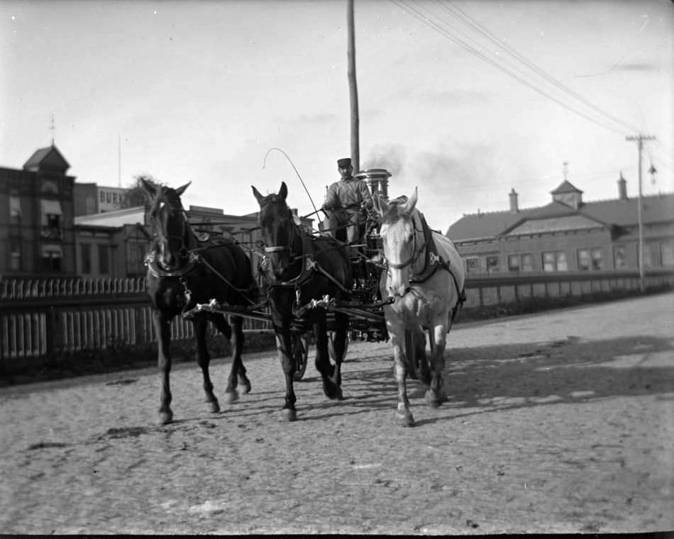 Horse-Drawn Fire Engine, Bronx, Ca. 1897.