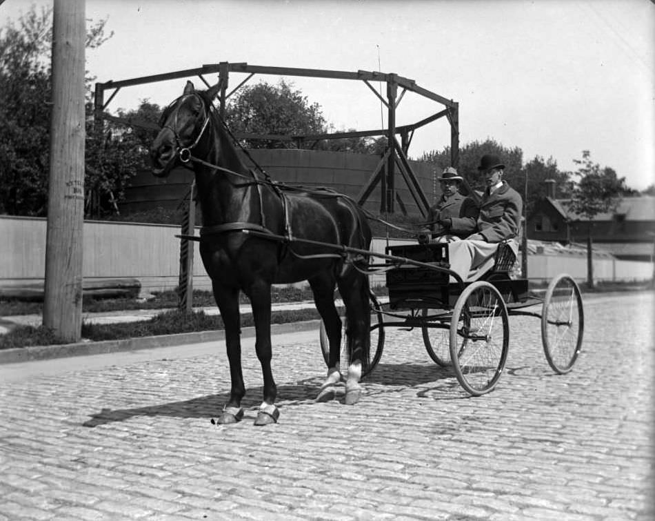 Two Men In A Horse Buggy, Bronx, Ca. 1910.