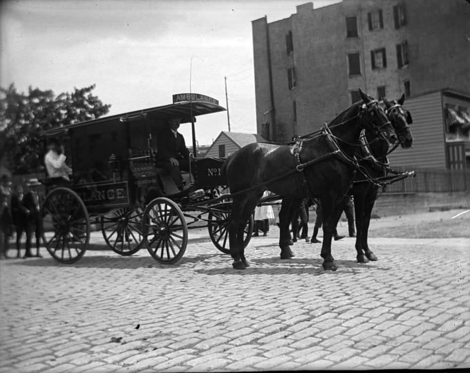 Horse-Drawn Ambulance, Bronx, Ca. 1897.